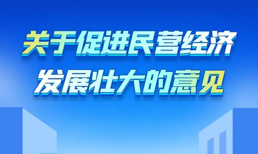 中共中央 国务院关于促进民营经济发展壮大的意见